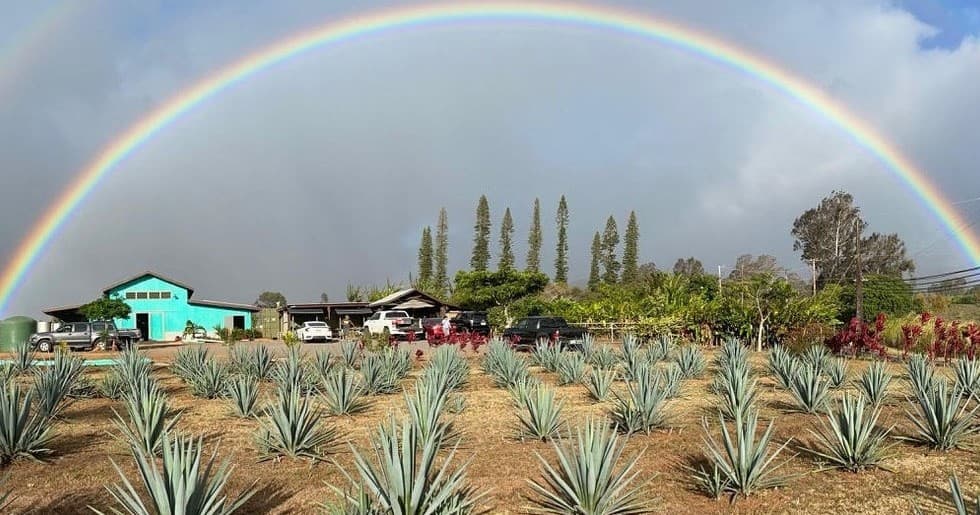 Deluxe Farm and Distillery Tour + Tasting