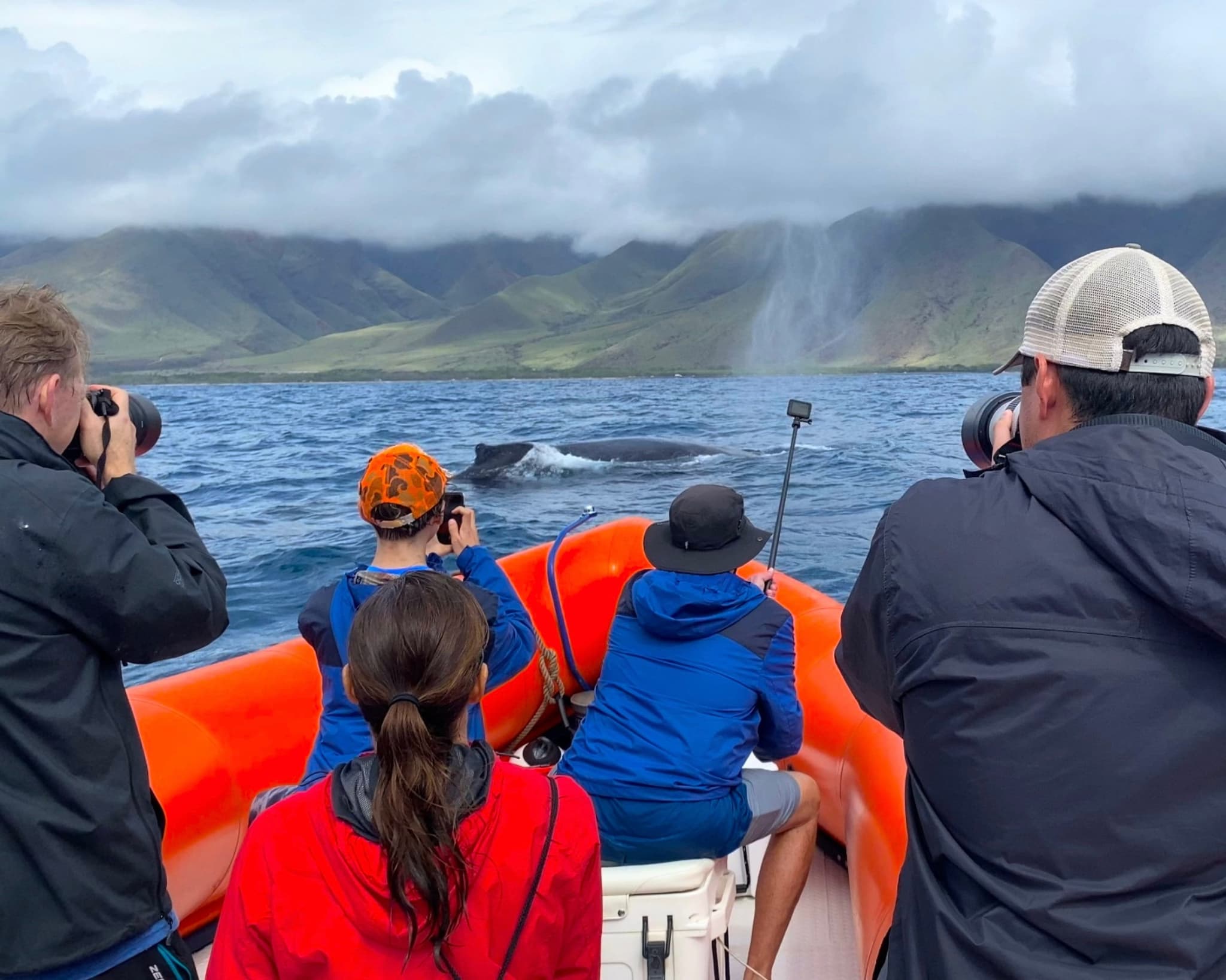 2 HOUR Whale Watch Photography Expedition