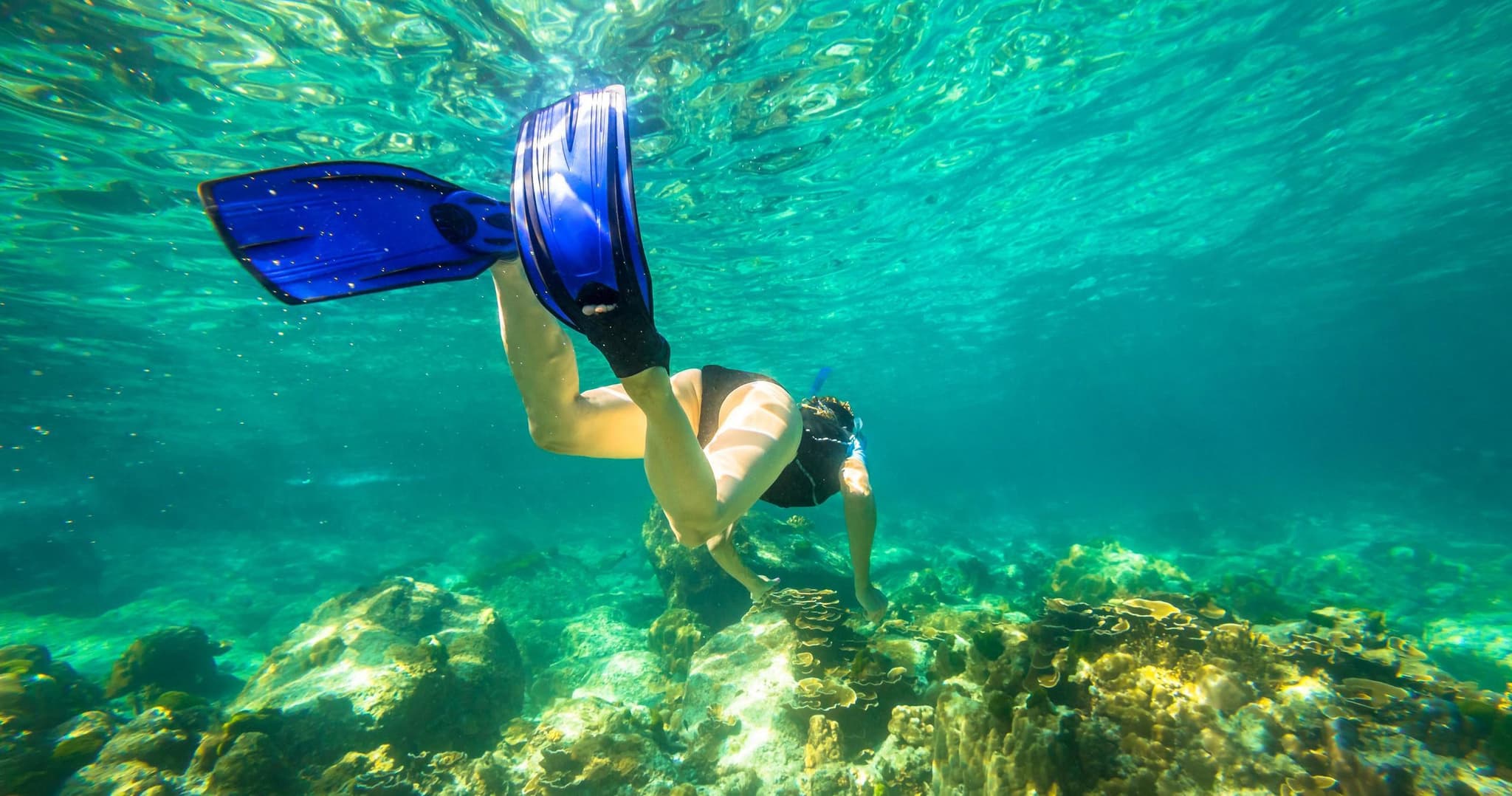 Kauai’s SOUTH SIDE Zodiac Boat Snorkel Adventure
