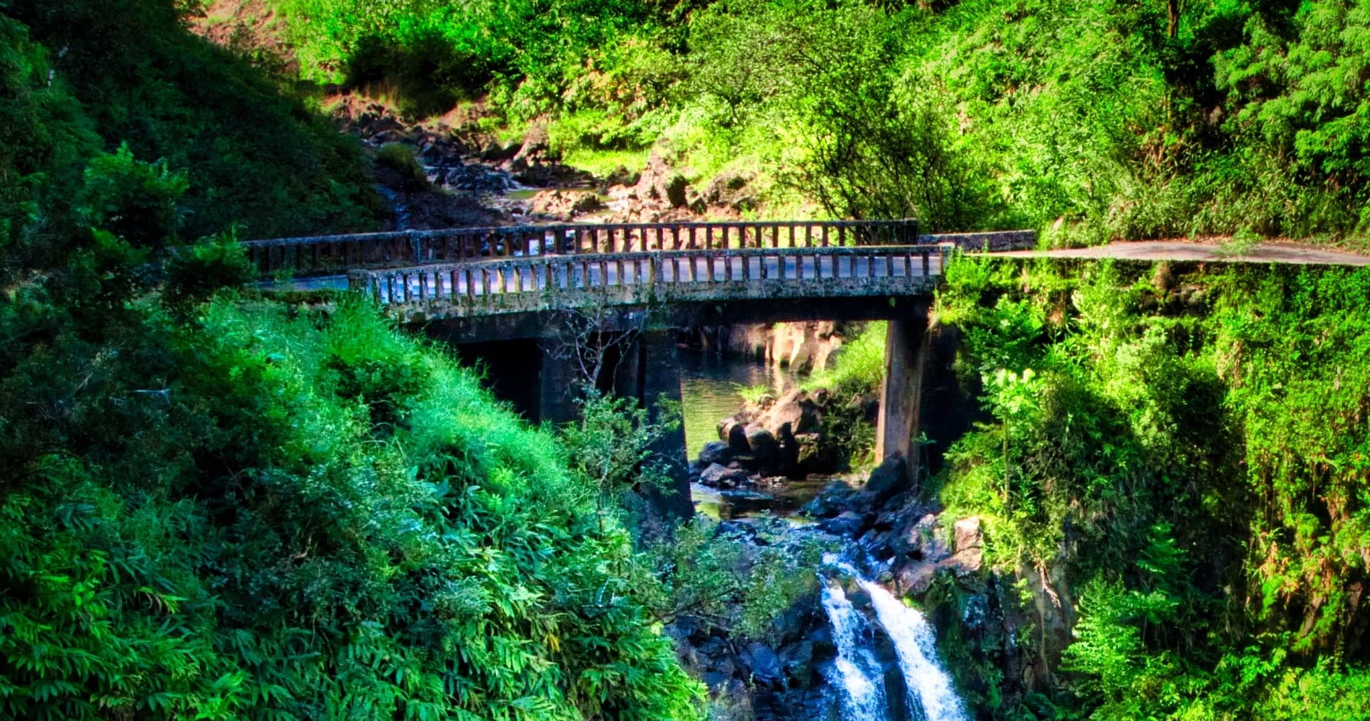 Private Halfway to Hana VIP Tour Large Group