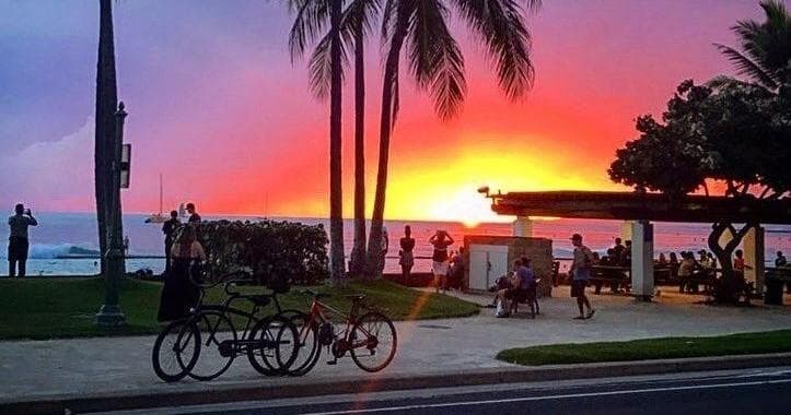 Sea / Eat & See the North Shore