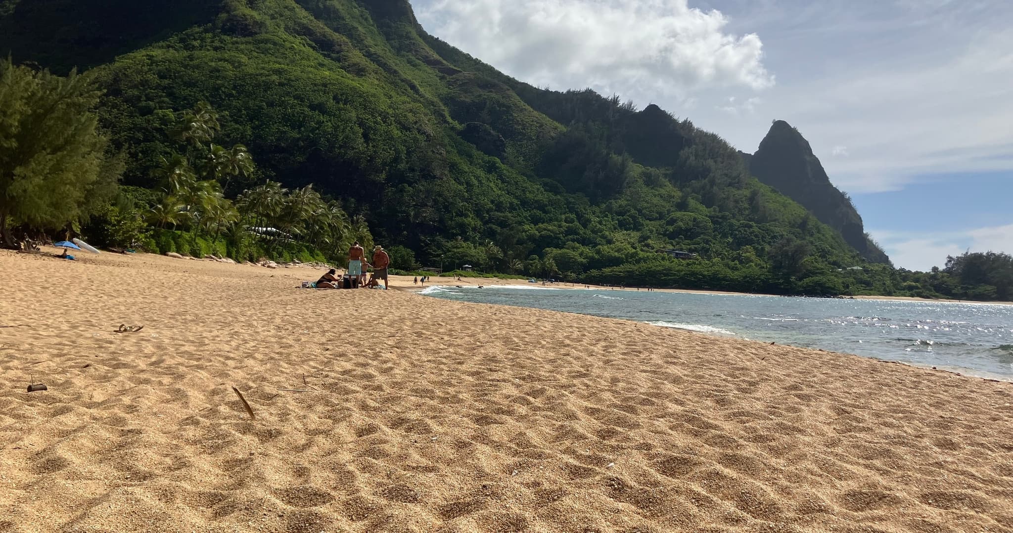 Open Water Diver eLearning