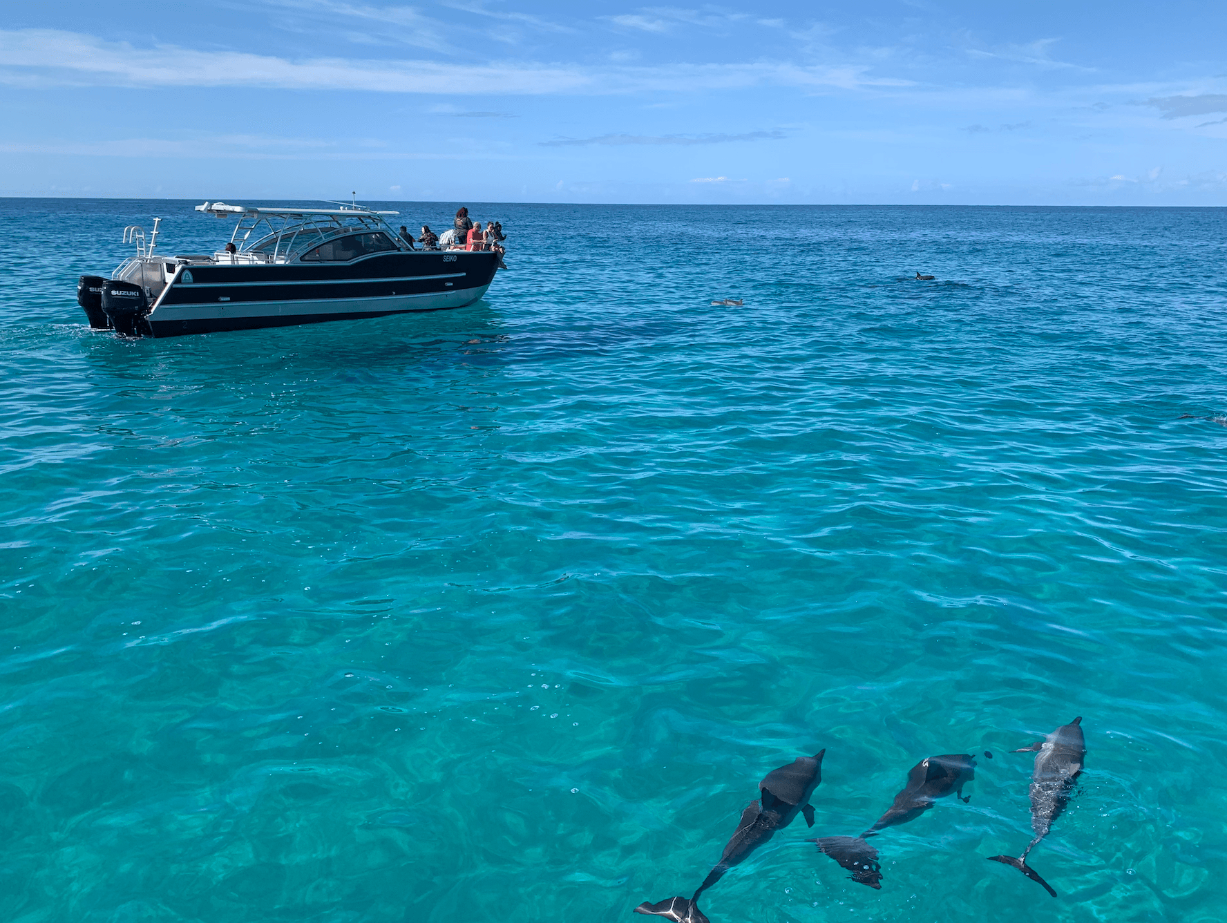 Na Pali Coast Tour on the new Seiko I & Seiko II Catamaran