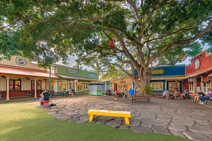 North Shore Island Tour