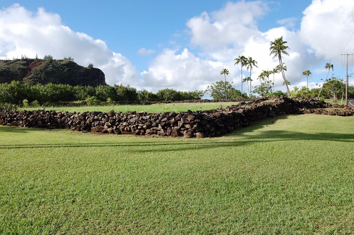 Opaeka'a Falls & Forest Reserve