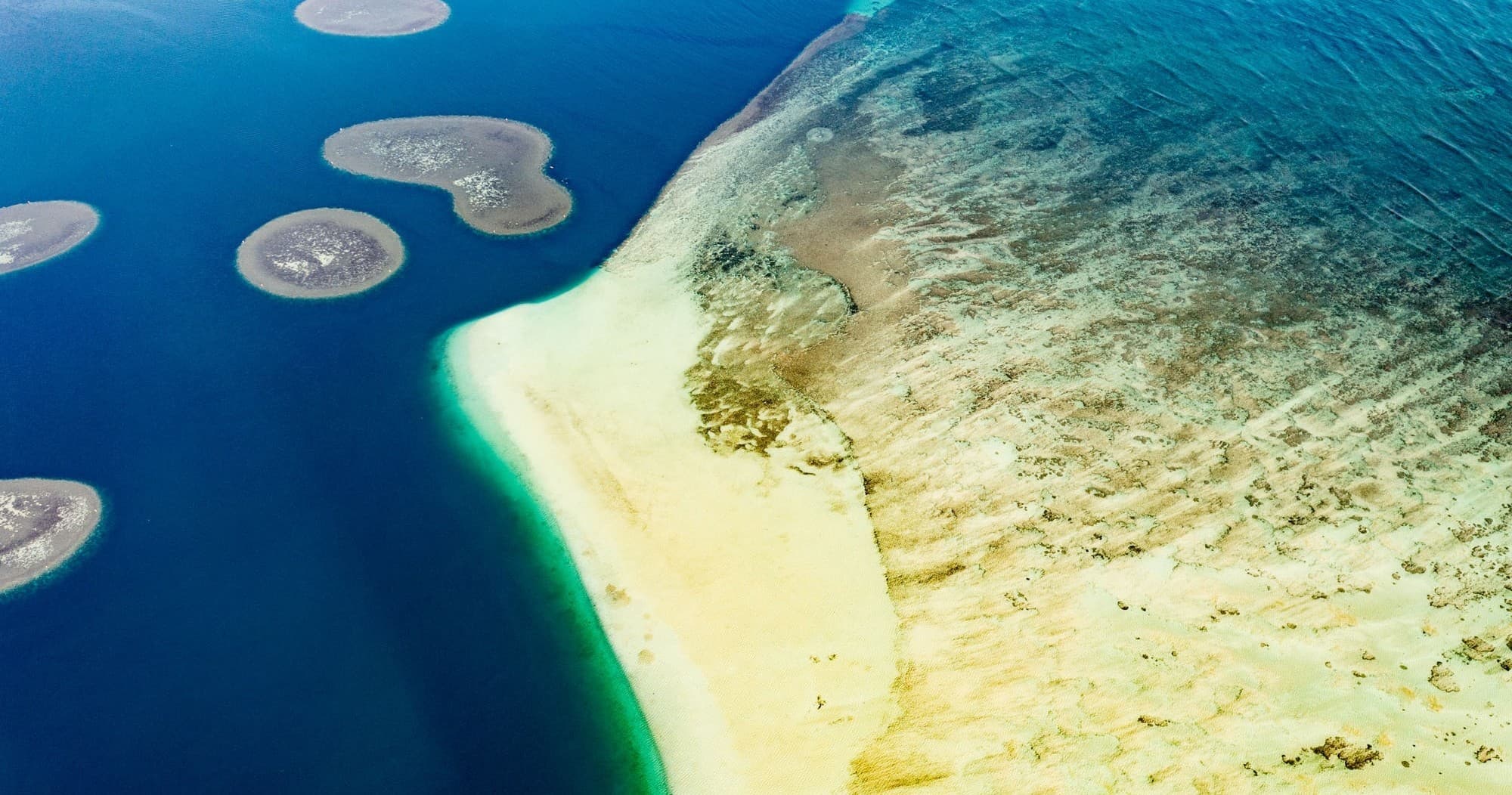 Kaneohe Bay Sandbar Self-Guided Kayak Experience