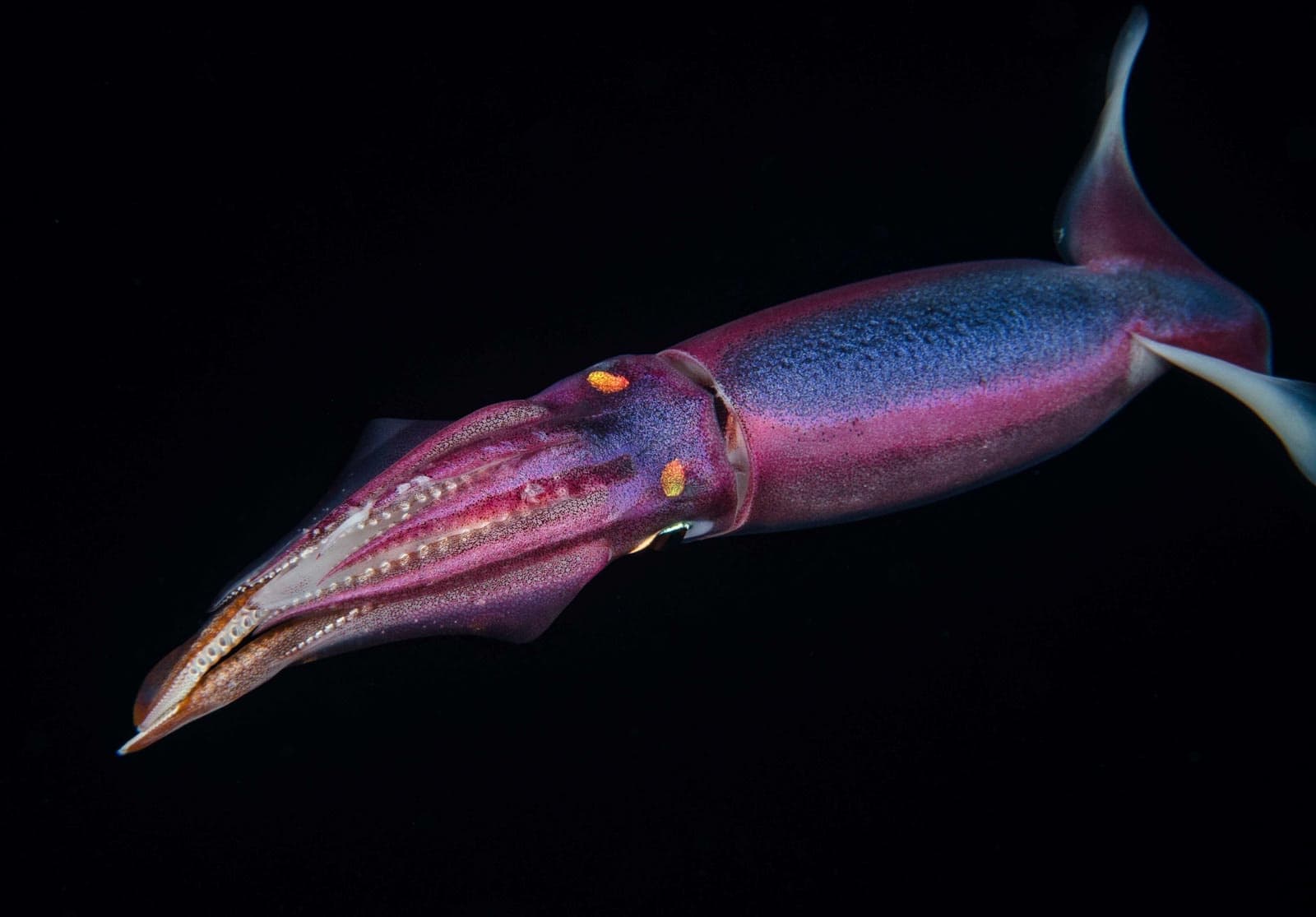 Private Charter Black Water