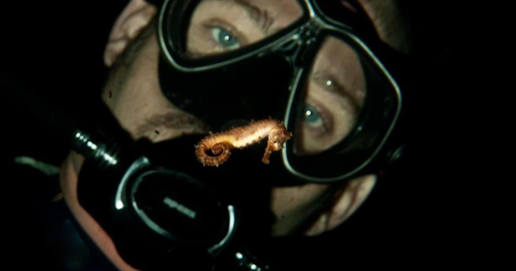 Black Water Night Dive