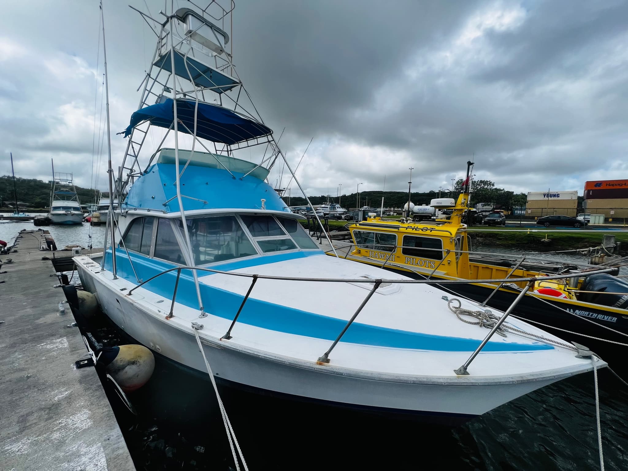 Full Day Charter Glacier Bay