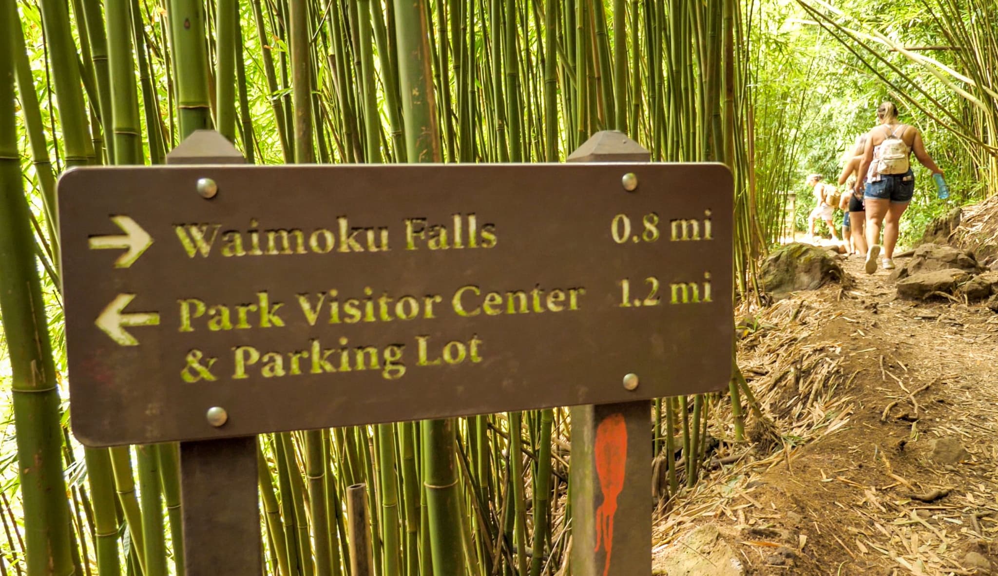 Waimoku Falls at Pipiwai Trail Hiking Adventure