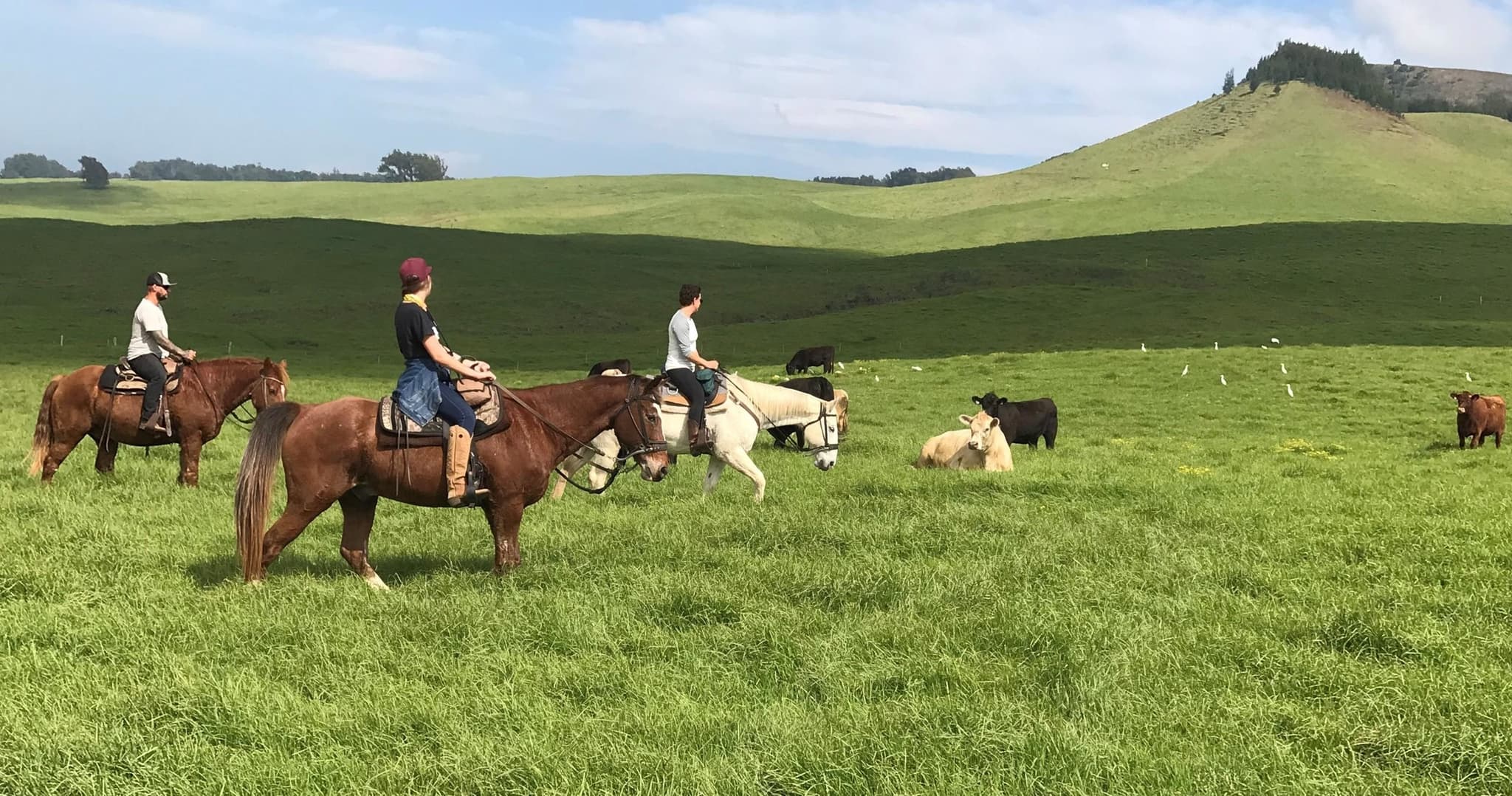 ⭐️PRIVATE Afternoon Paniolo Ride