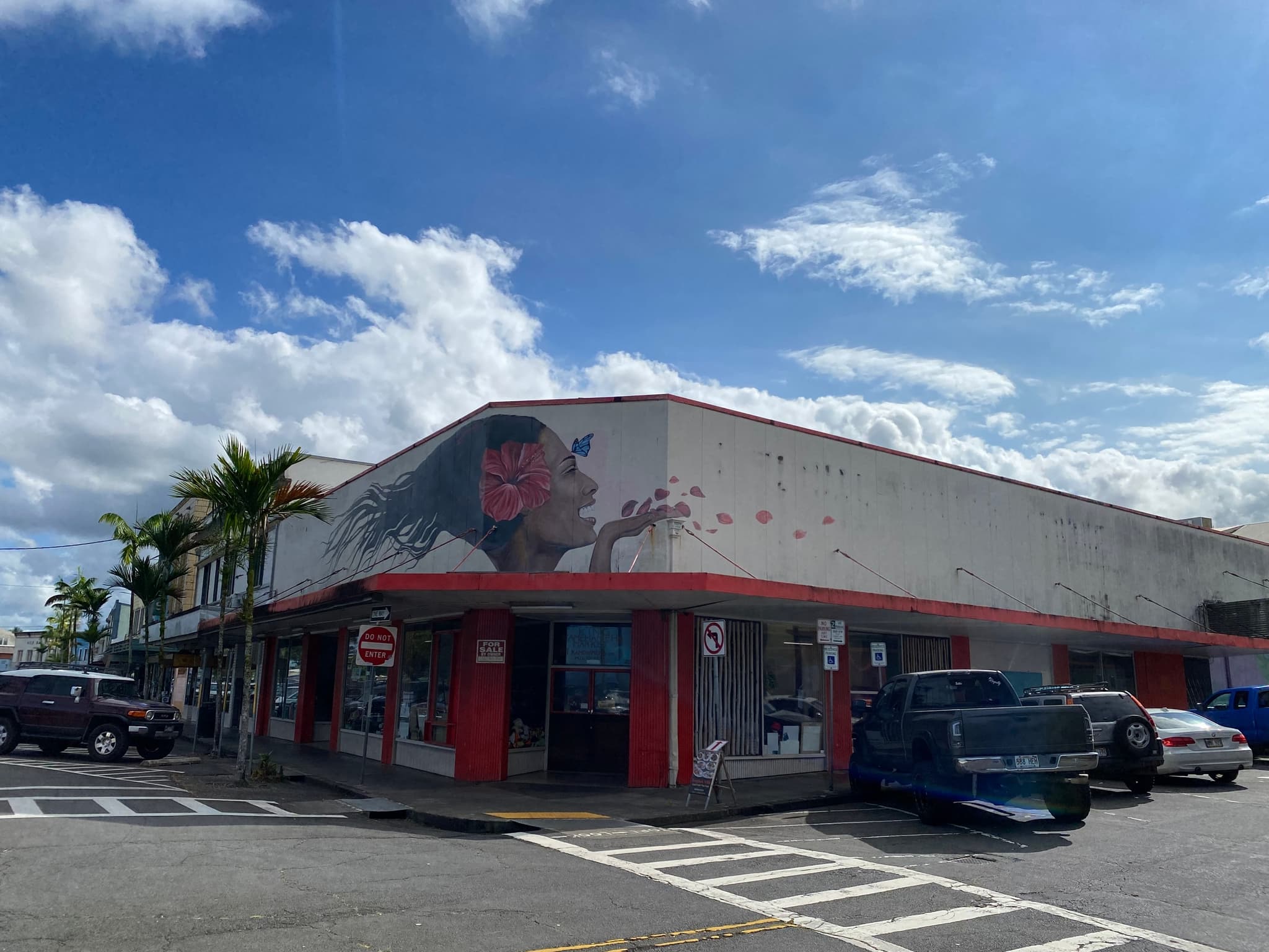 Charter Big Island Northern Route and Hilo (No Kilauea)