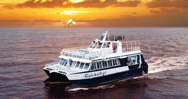 From Ma'alaea Harbor: Sunset Dinner Cruise Aboard the Quicksilver