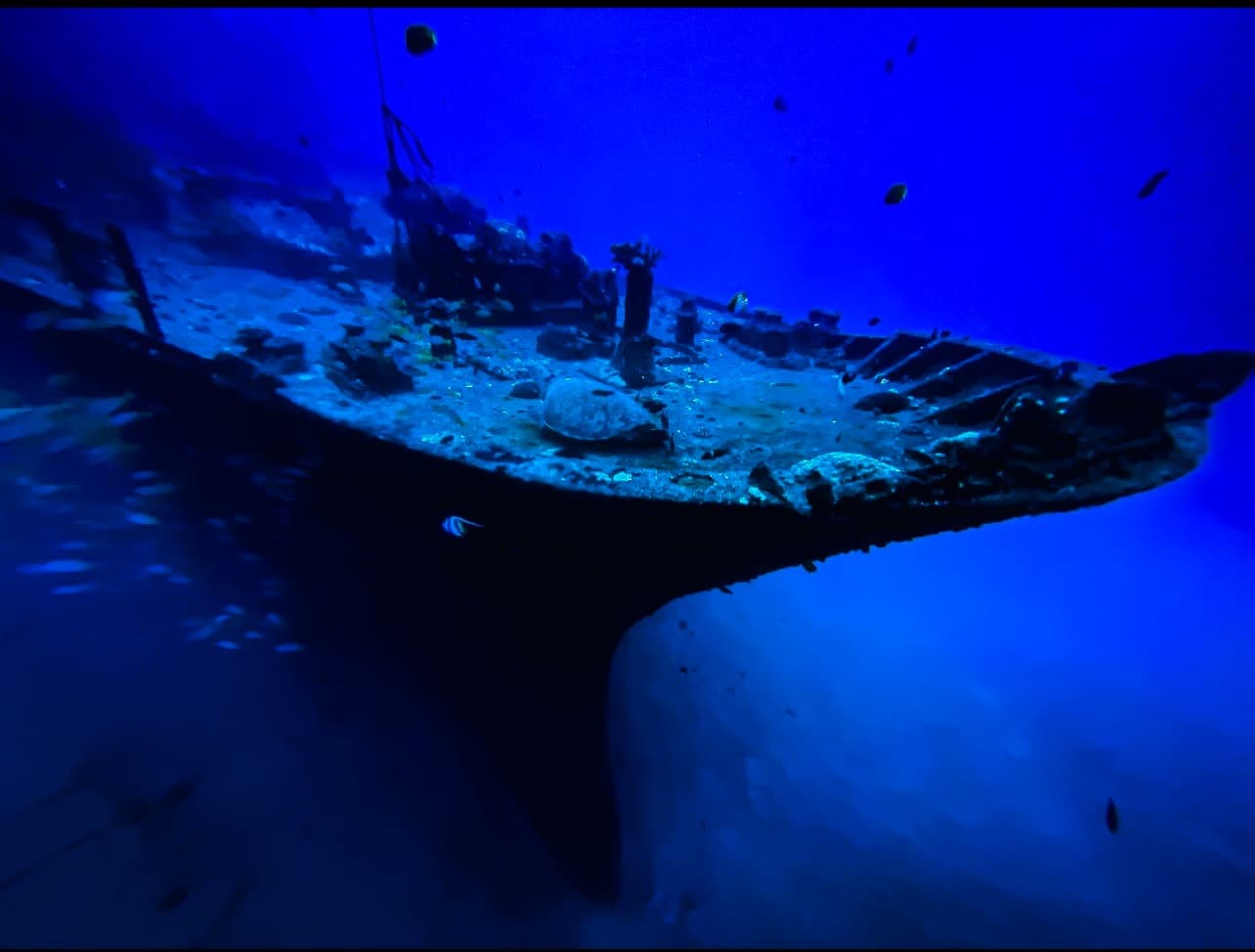 Magnificent 2 Tank Shipwreck and/or Reef Boat Dive - Certified Only