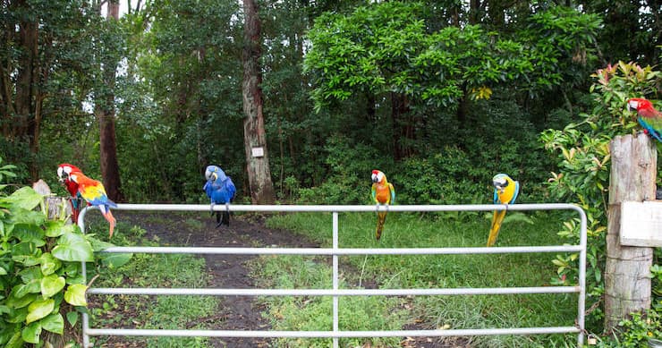Full Day Hana Tour In Your Rental Car