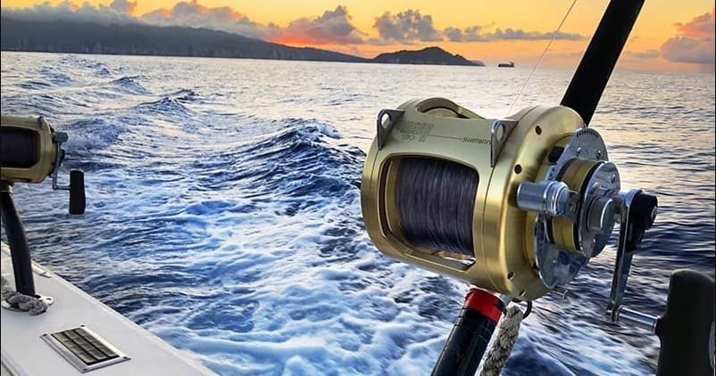 Private Charters - Half Day