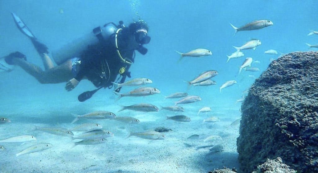 Private Try Scuba Diving Tour- Honolulu