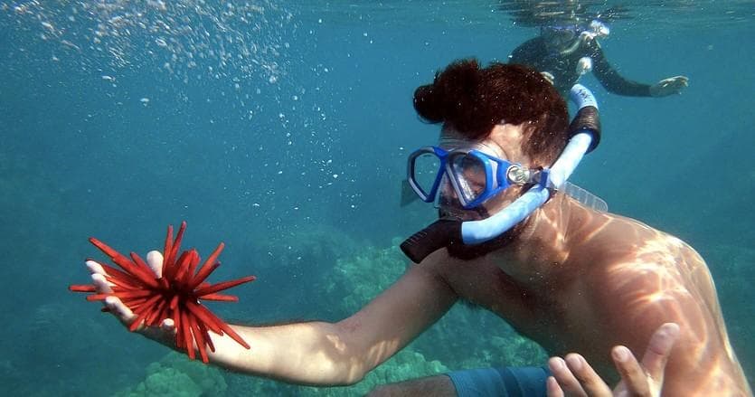 Private Kayak/Snorkel/Whale Watch