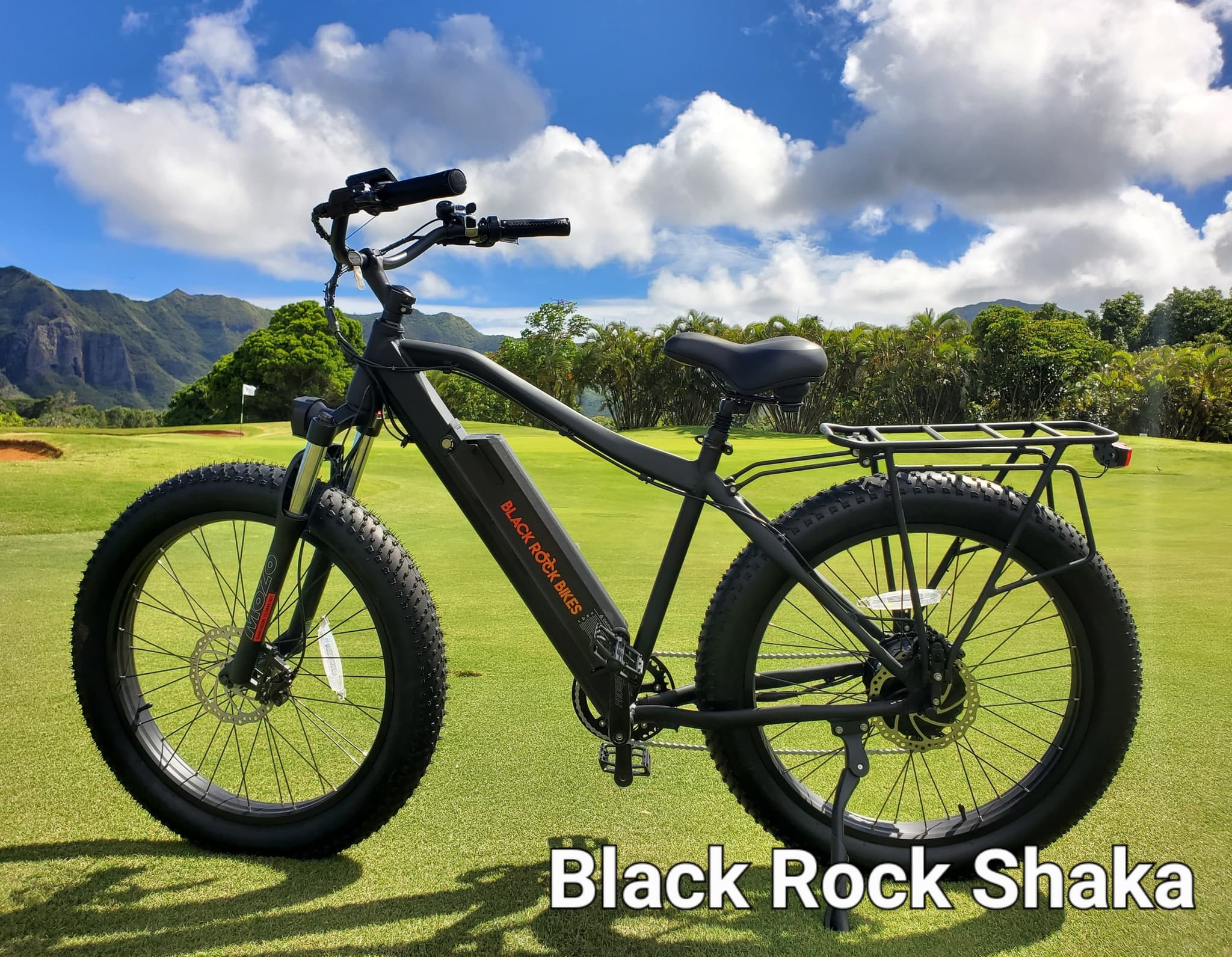 4-Day Ebike Rental