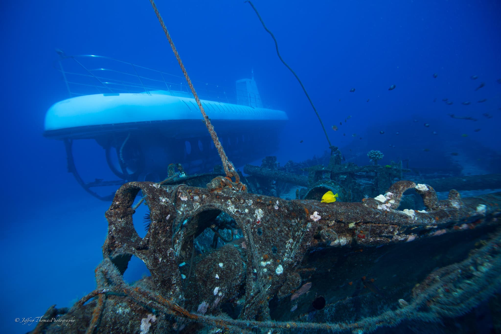 2 Tank Carthaginian Shipwreck and Turtle/Shark Dive by Boat