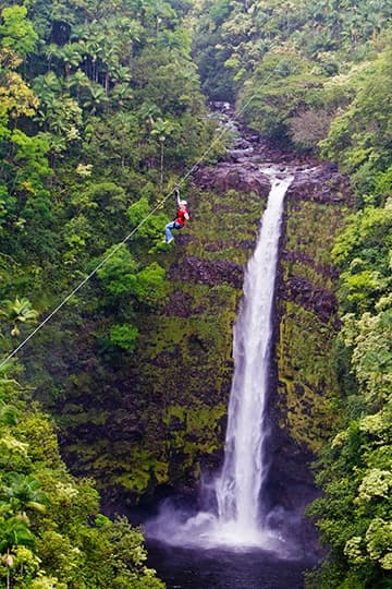 Zipline Adventure with Hilo Cruise Ship Pickup