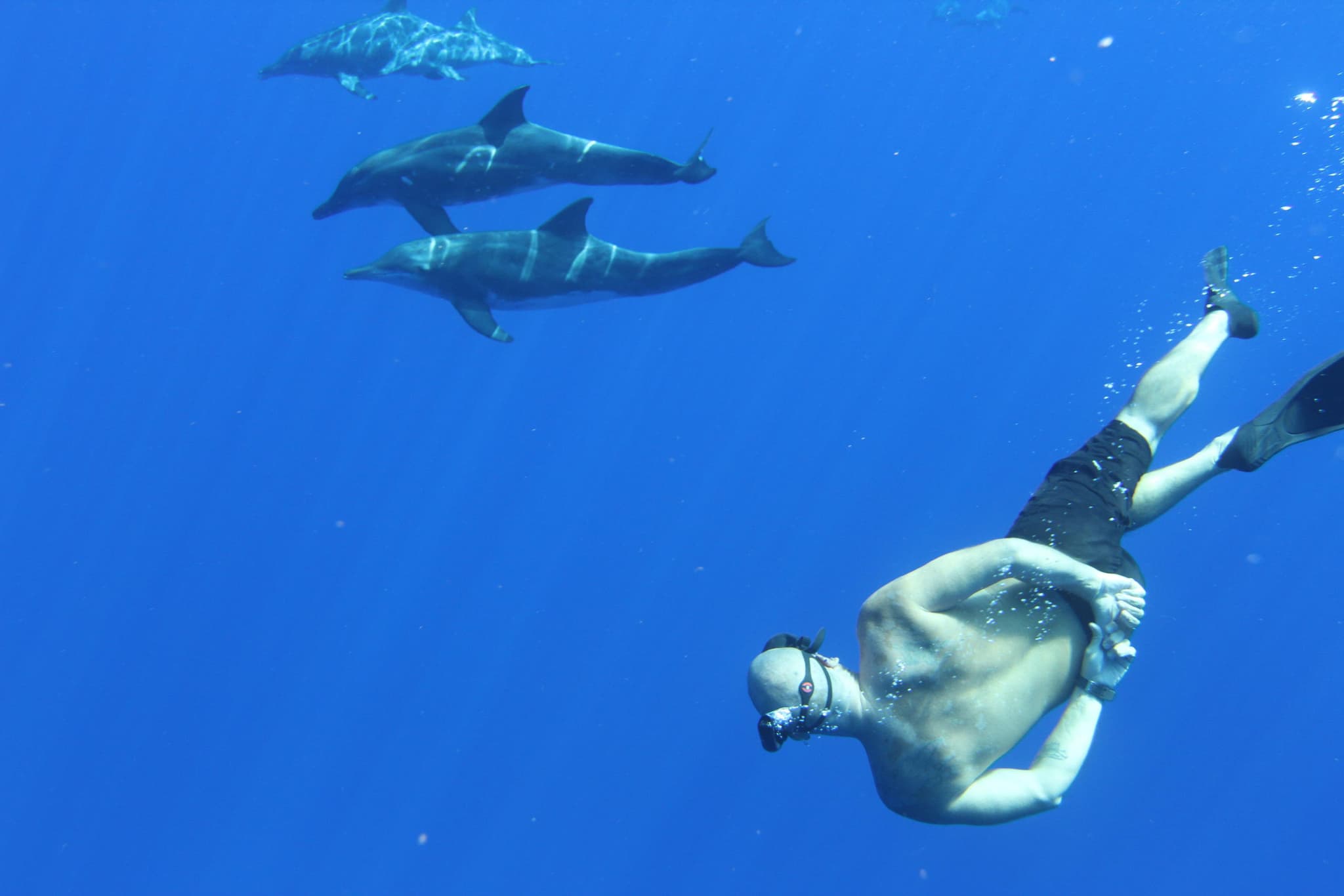 Kona BIG 5 Ocean Safari