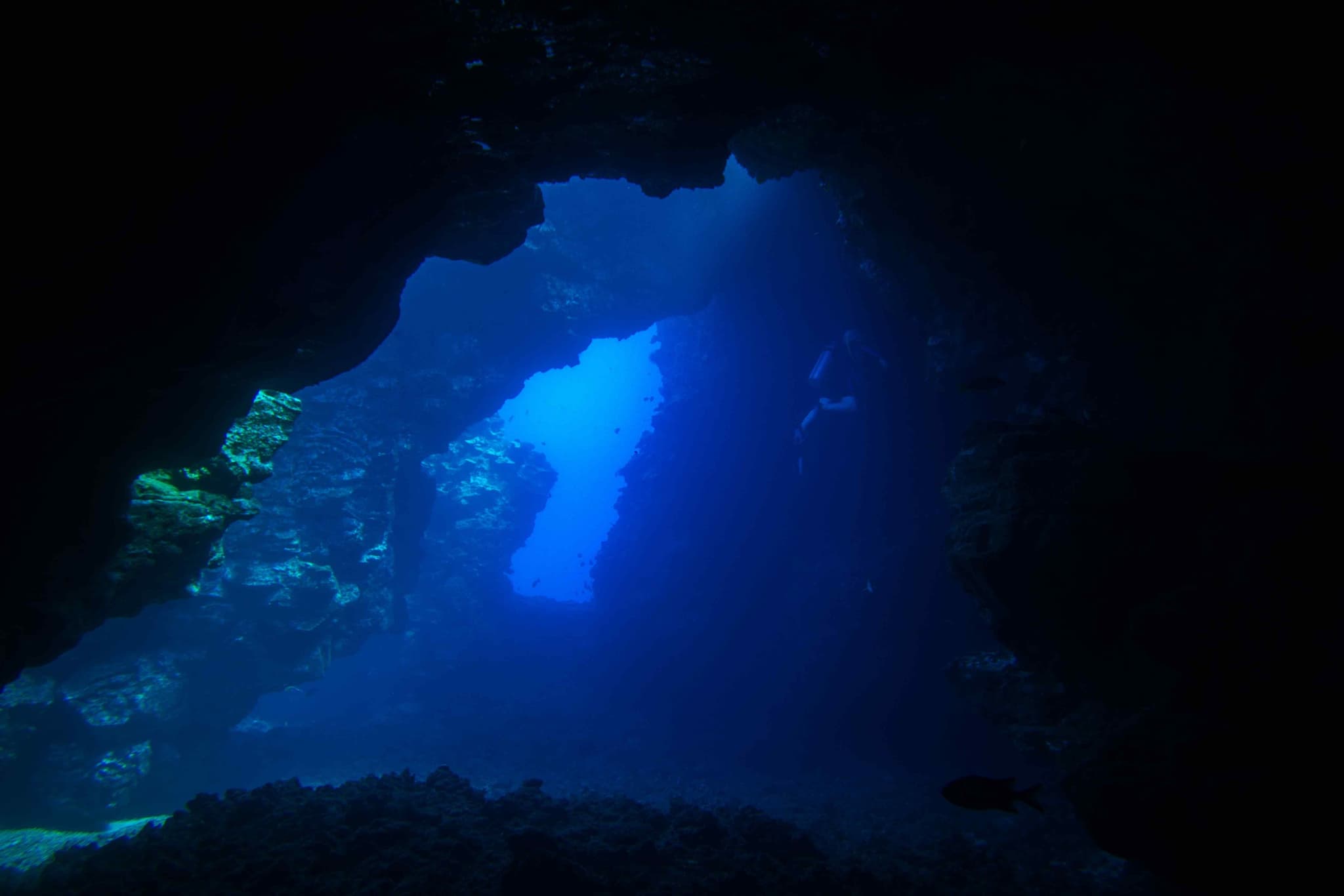 SCUBA Lana'i: 2 Tank Adventure