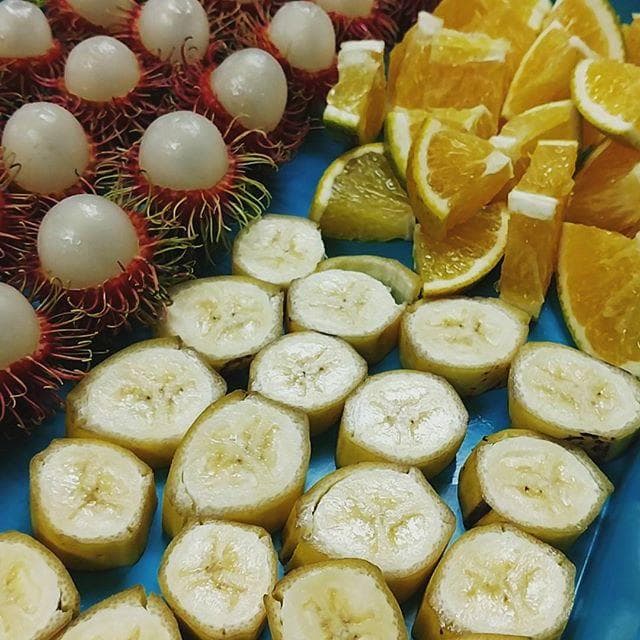 Organic Farm and Goat Dairy Tour