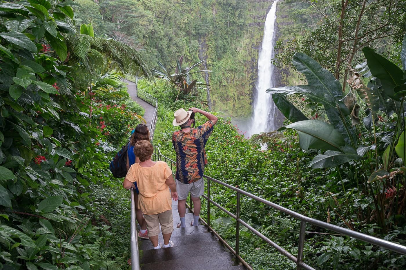 Big Island Waterfalls Adventure