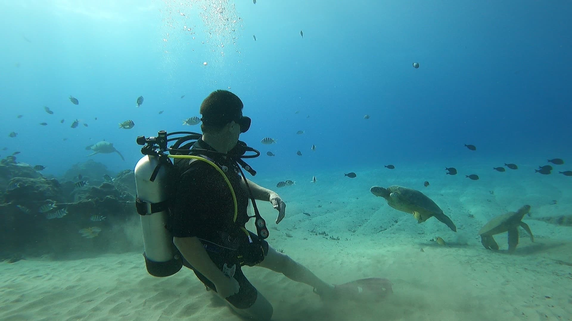 Private Discover Scuba