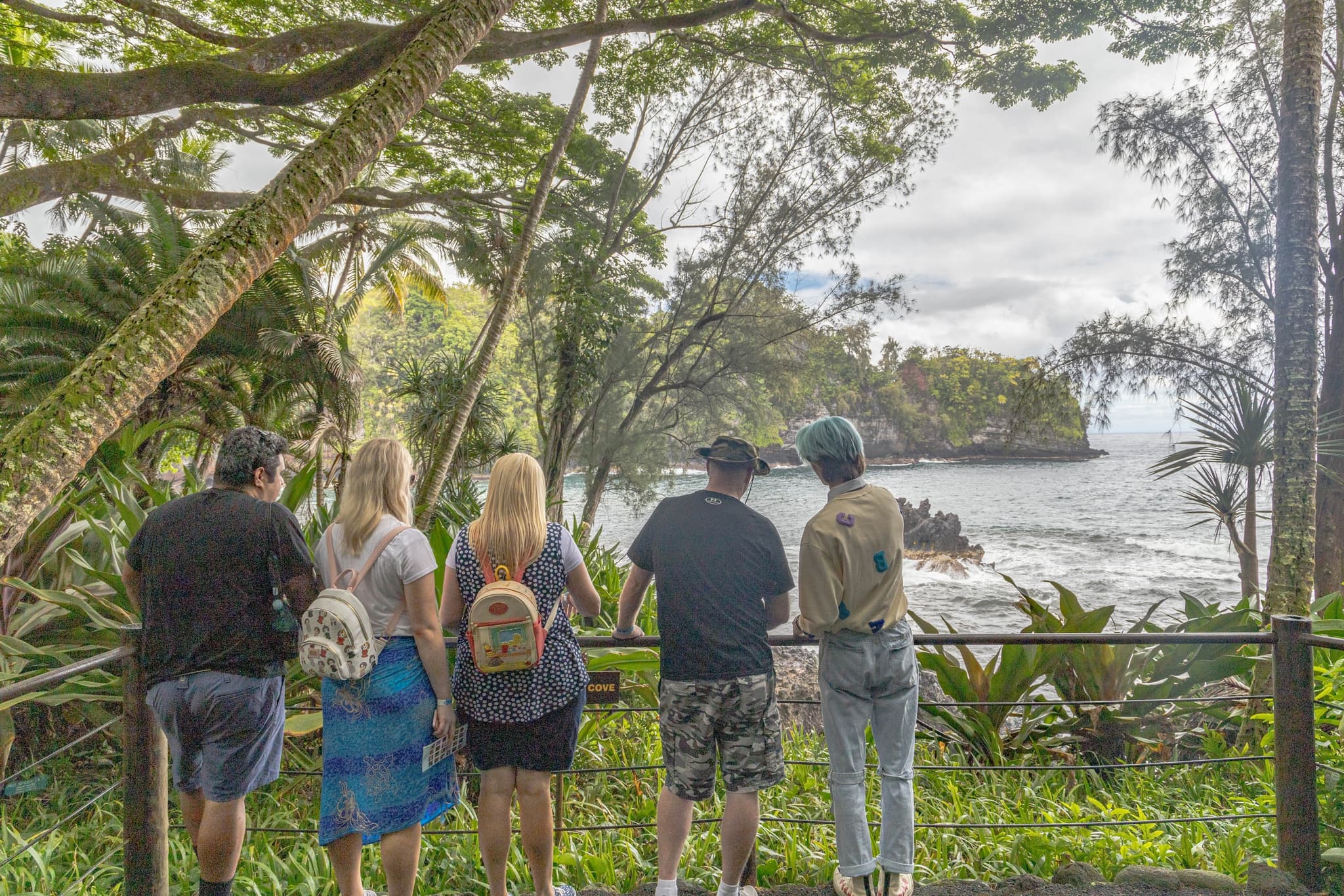 Hilo Cruise Ship Guest Special - Botanical Gardens, Waterfalls, and Farmers Market