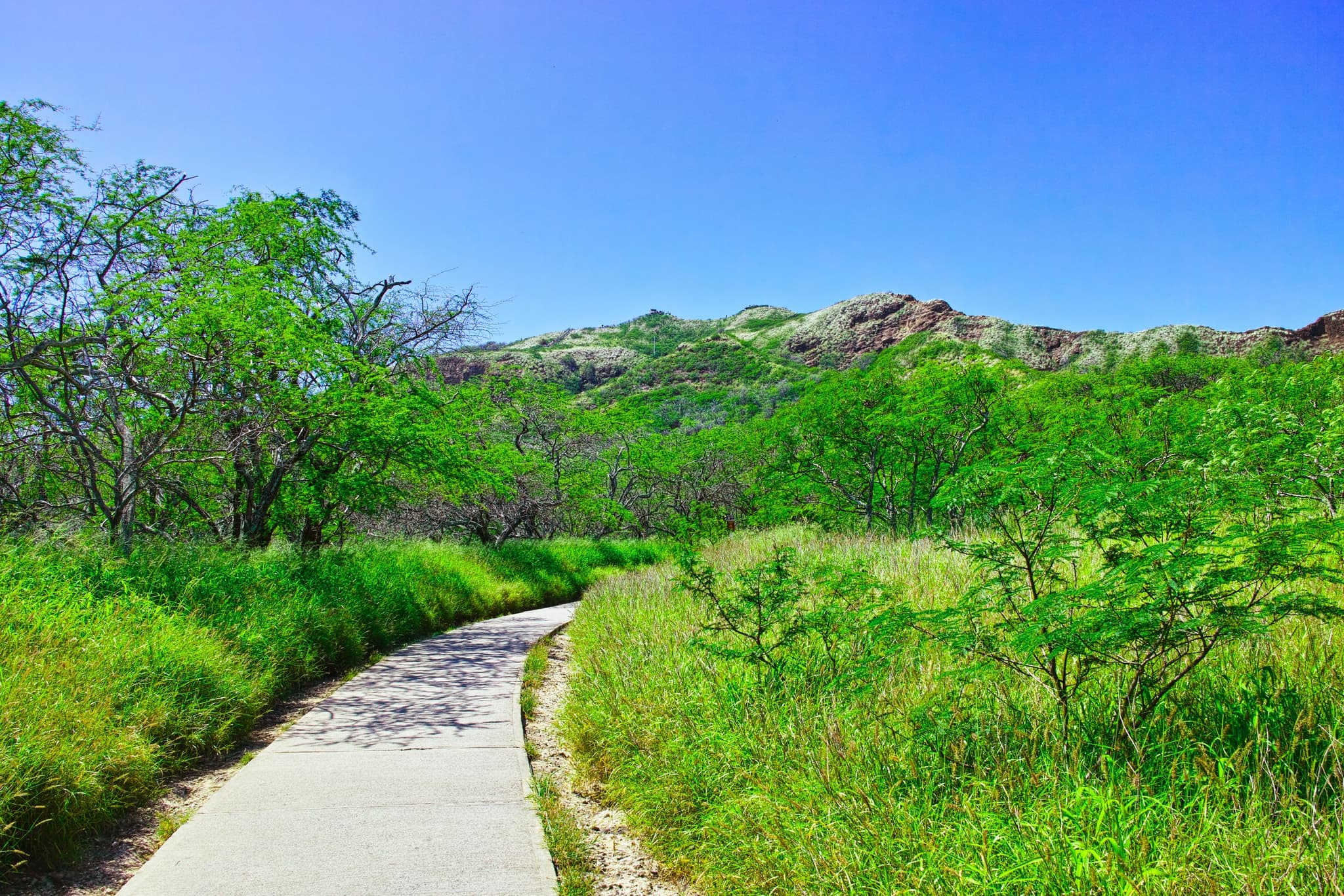 Diamond Head Hike & Waikiki Coastline Cruise