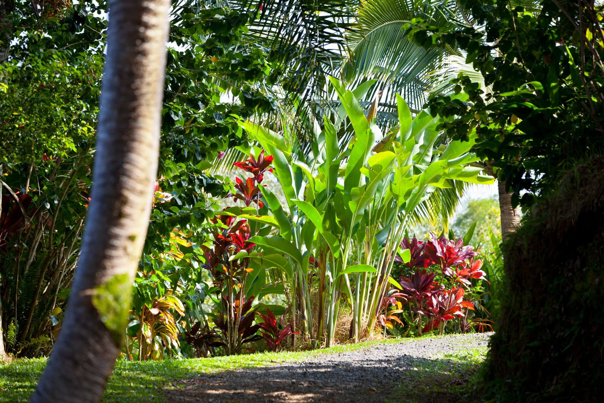 Private Halfway to Hana + Waterfall & Garden of Eden Tour