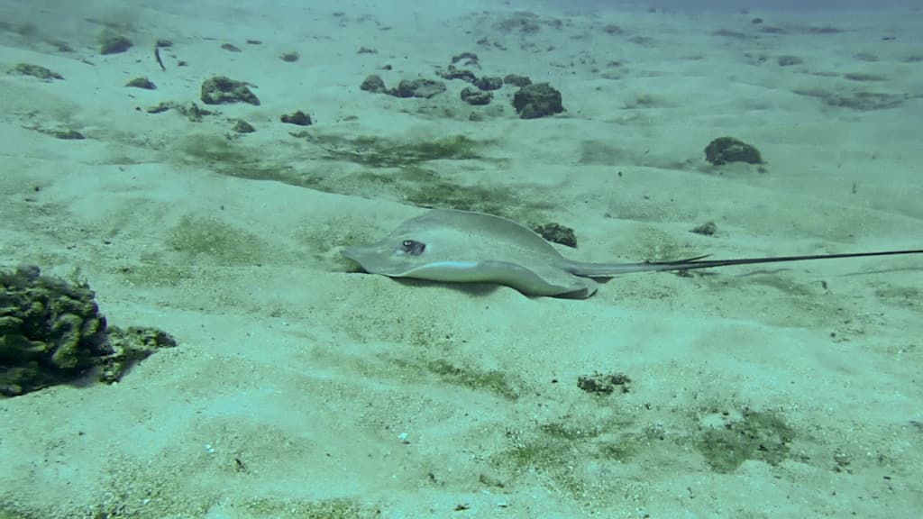 3 Day Dive Adventures on Kauai