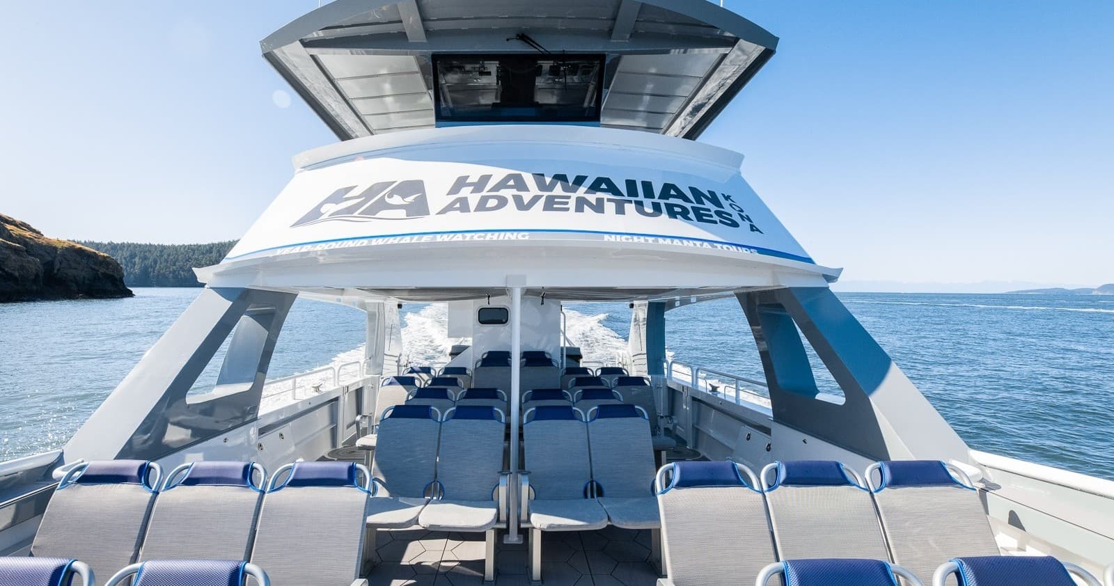 Whale Watching on the Kona Coast