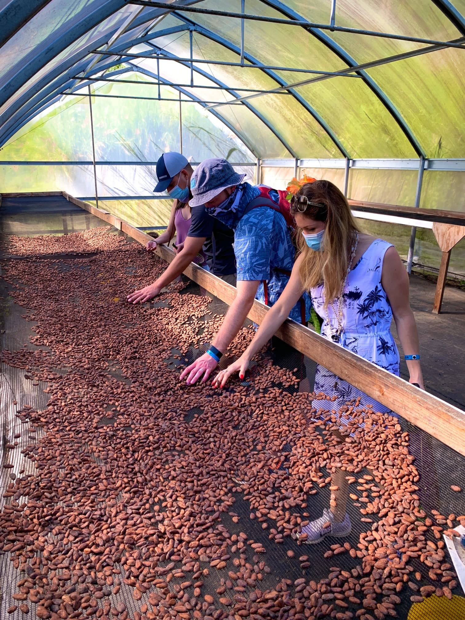 Hamakua Chocolate Farm Tour and Tasting