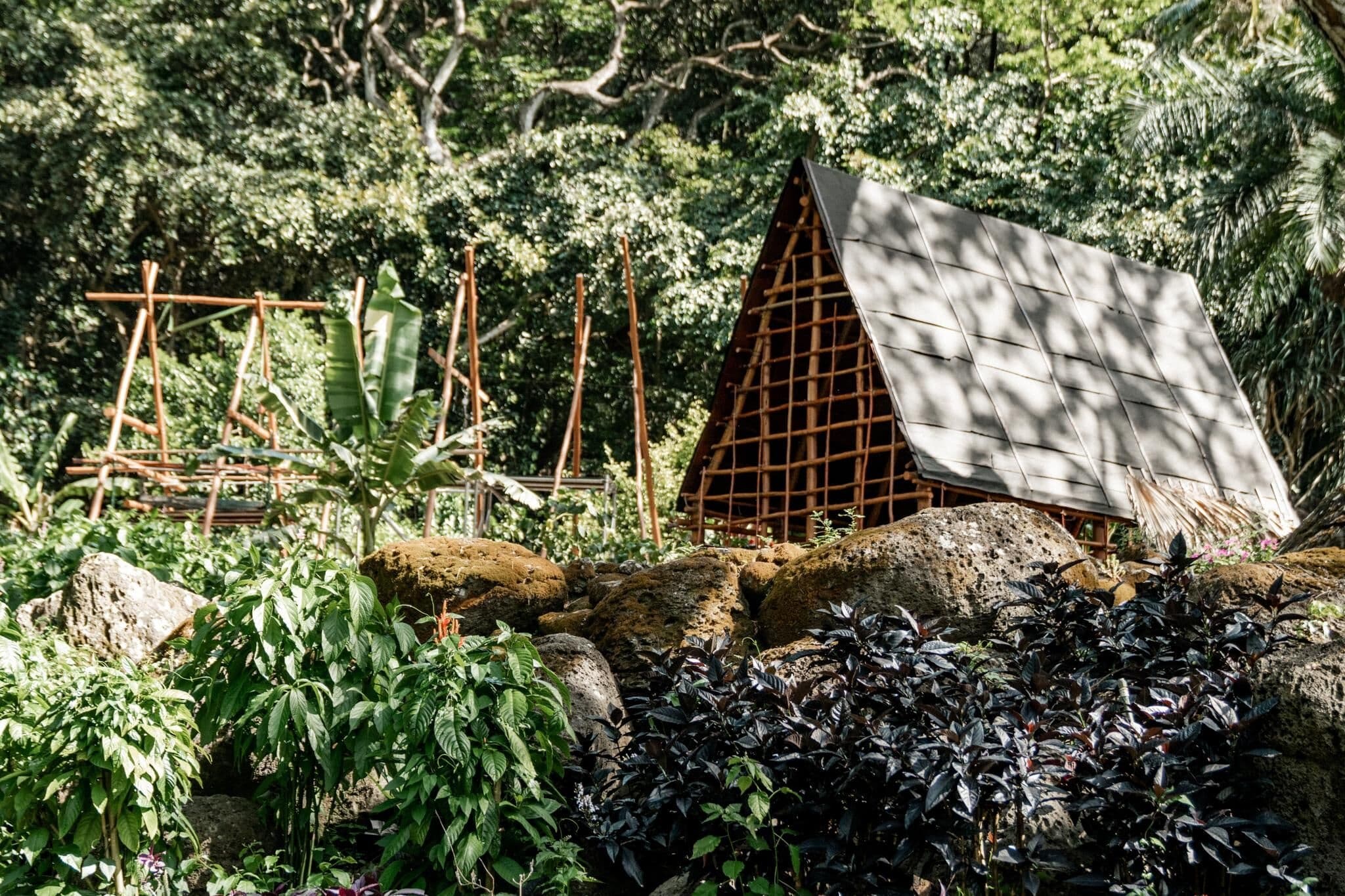 Hidden Gems of Oahu with Waimea Botanical Garden