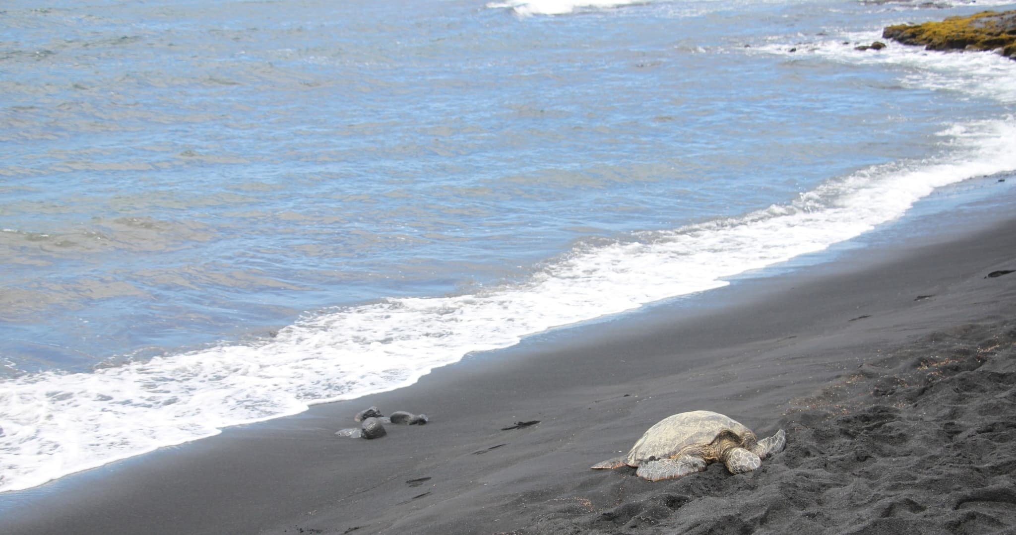 Custom Volcanoes National Park Tour with extra stops