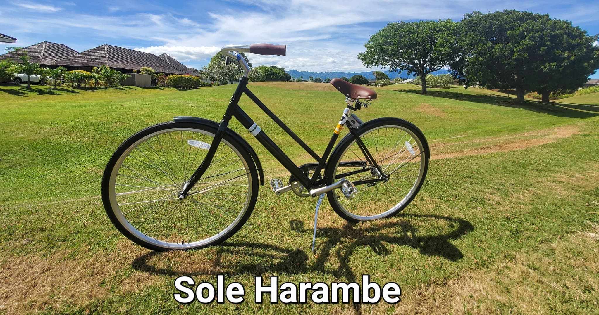 All Day single-speed bike