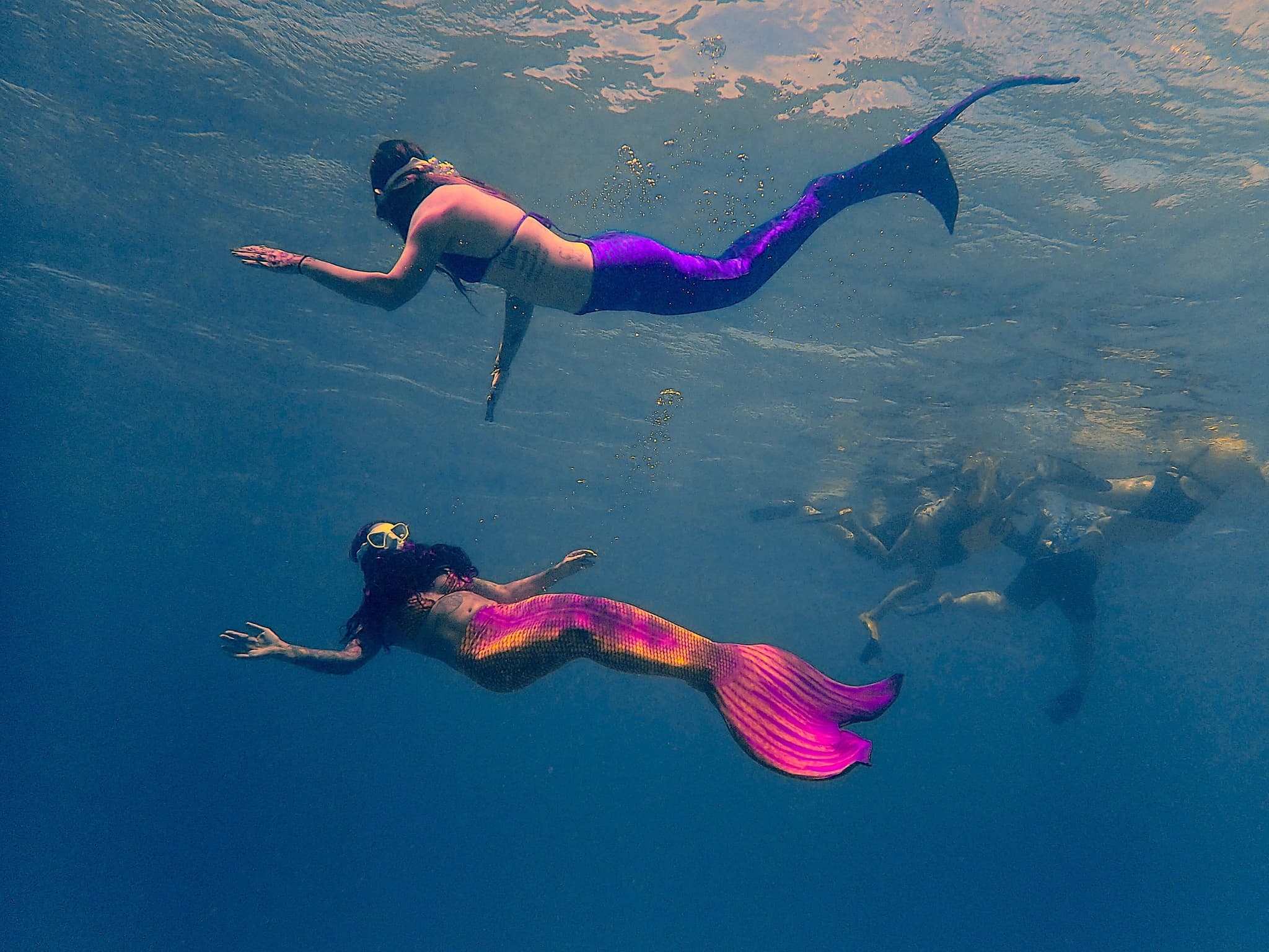 Mermaids and Turtles