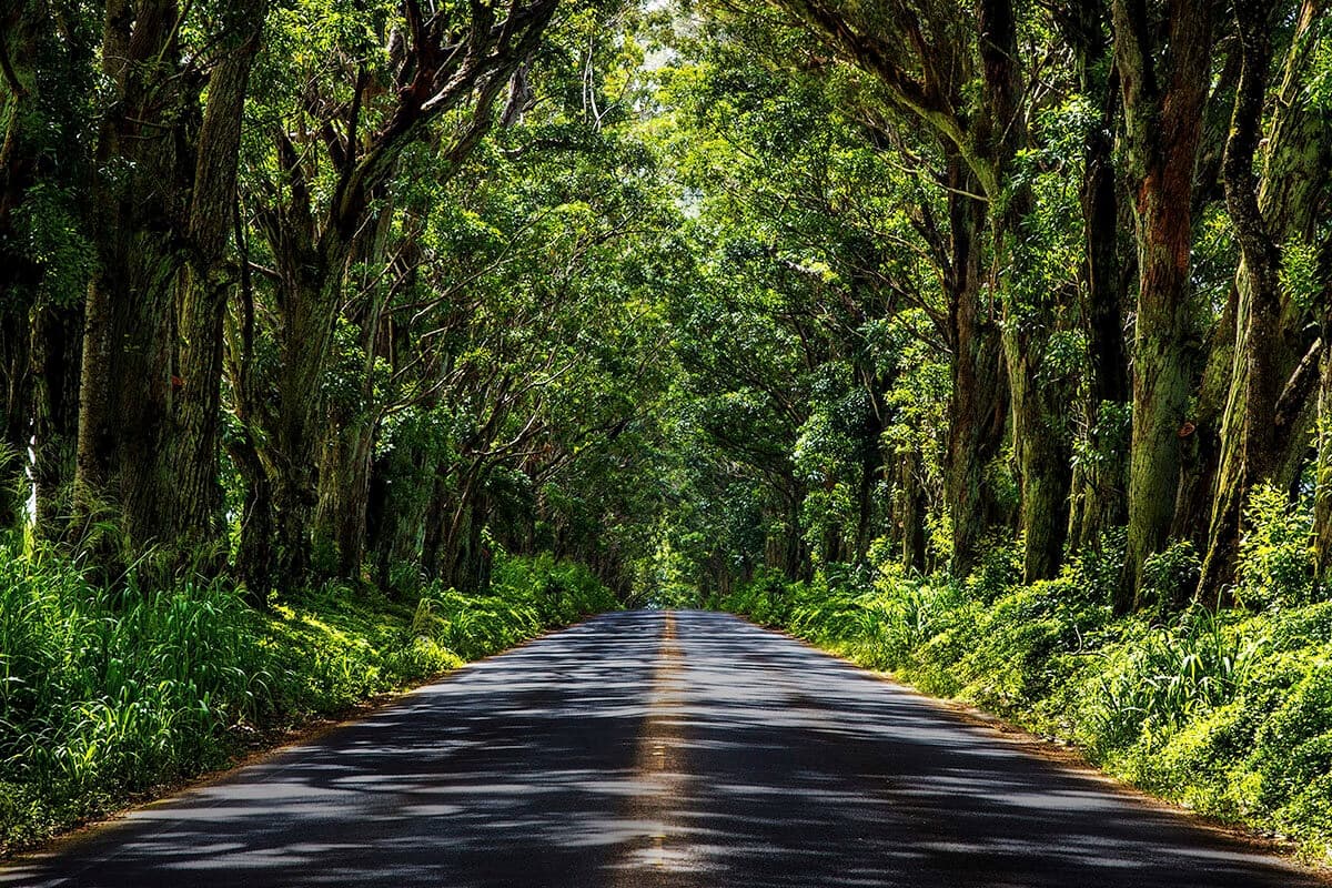 Kauai Private Island Shuttles - 4 & 6 hour custom shuttles