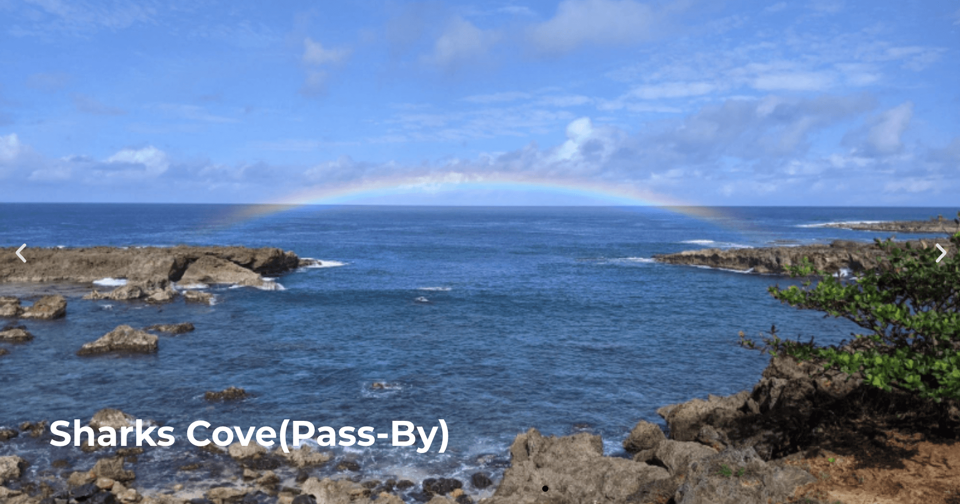 SIGNATURE CIRCLE ISLAND TOUR(waikiki pickup)