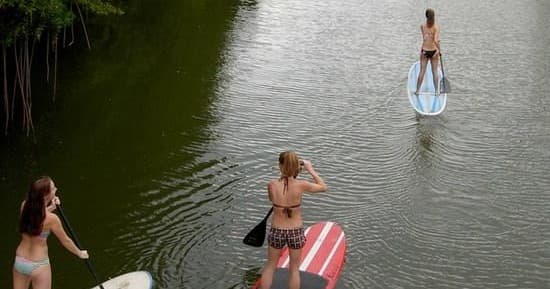 Semi Private Paddle Boarding Lessons