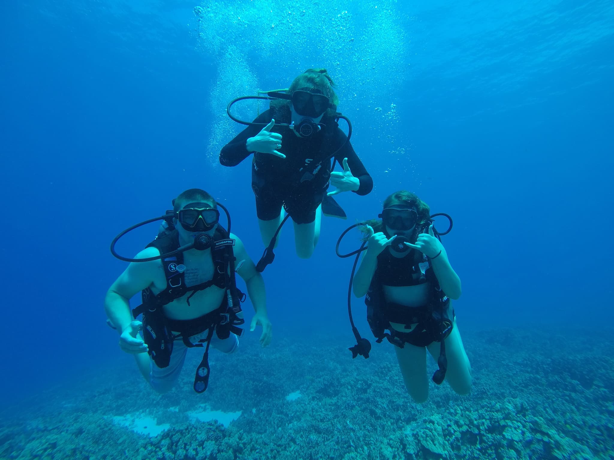 Scuba Dive for Beginners