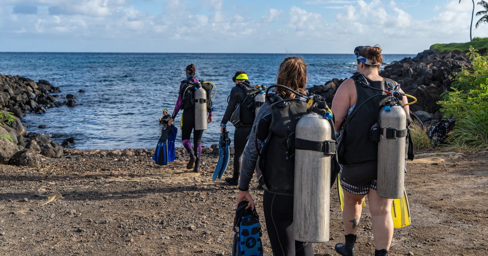 PADI Open Water Referral 2 dives