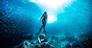 Try Freediving