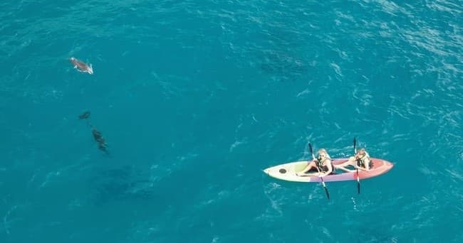 Clear Bottom Kayak Rentals