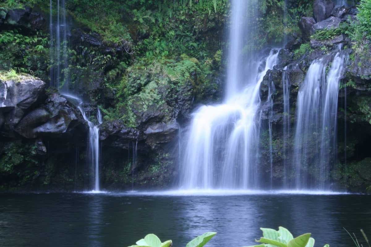 1/2 Day VIP Private North Shore Waterfall Tour