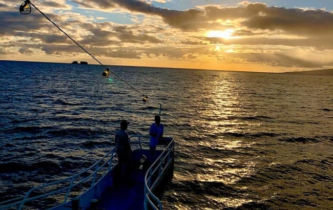 Sunset & Fireworks Dinner Cruise