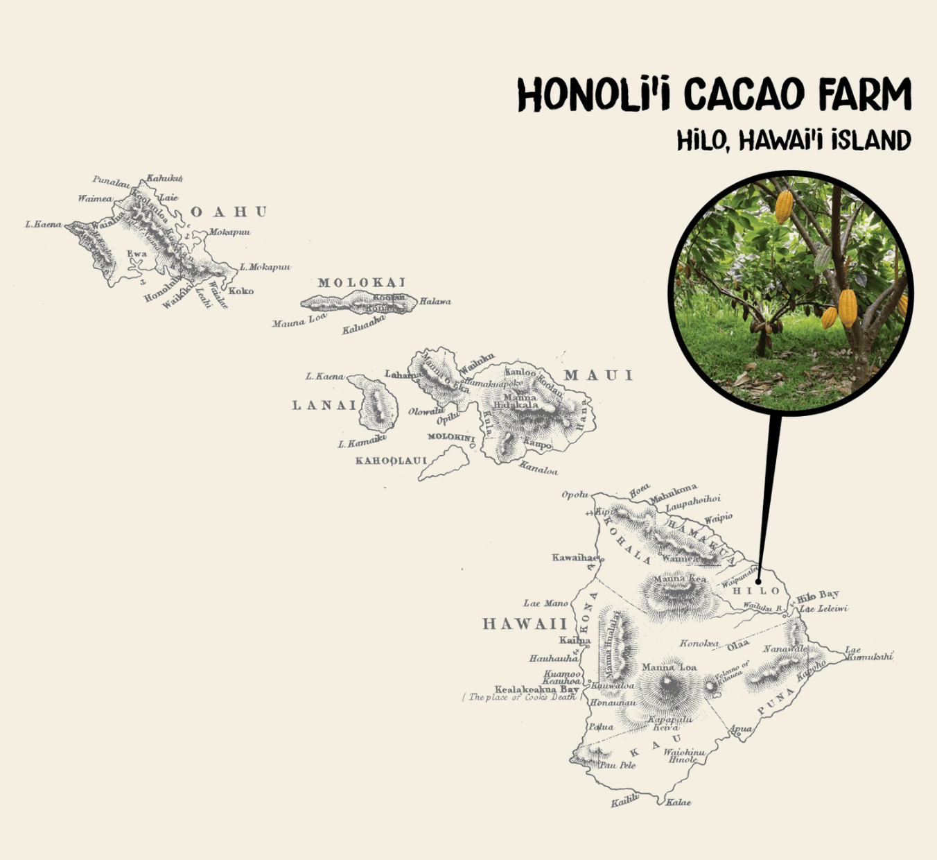 Farm Tour and Hawaiian Craft Chocolate Tasting